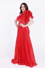 ⁦فستان سهرة بليسية بريش⁩ - الصورة ⁦3⁩