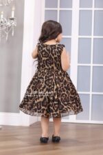 ⁦فستان بناتي نمري كات انيق⁩ - الصورة ⁦3⁩