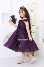 ⁦فستان بناتي فخم⁩ - الصورة ⁦2⁩